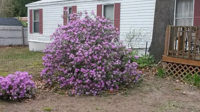 Northwinds Mobile Estates Picture 7