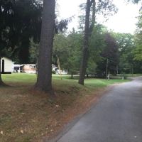 Paradise Park Queensbury ico