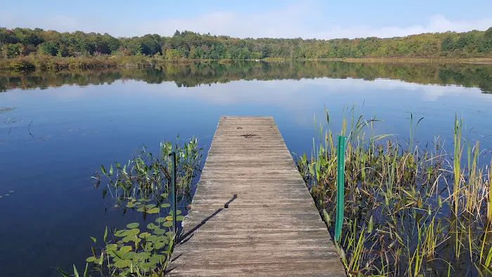 Reflection Lakes Property Inc Picture 1