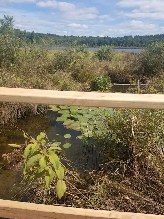 Reflection Lakes Property Inc Picture 10