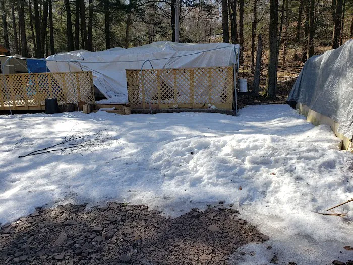 Reflection Lakes Property Inc Picture 8