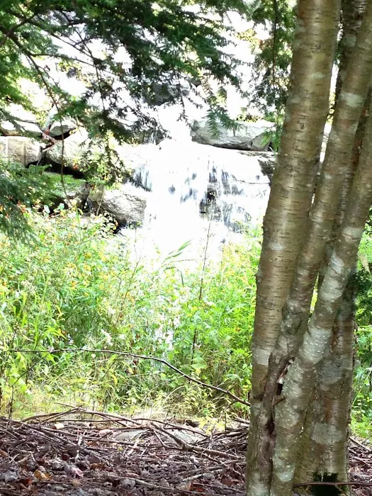 Little Spring Brook RV Park Picture 4