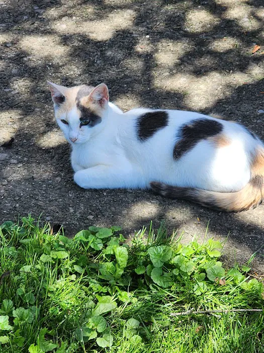 Valley Stream Mobile Home Park Picture 4