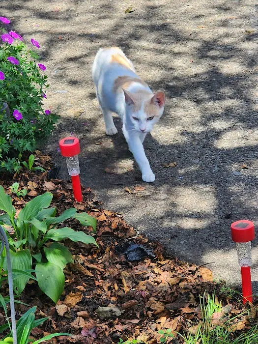 Valley Stream Mobile Home Park Picture 1