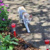 Valley Stream Mobile Home Park ico