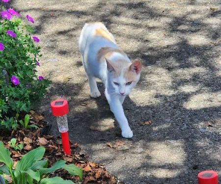 Valley Stream Mobile Home Park