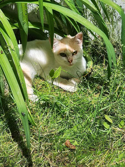 Valley Stream Mobile Home Park Picture 5