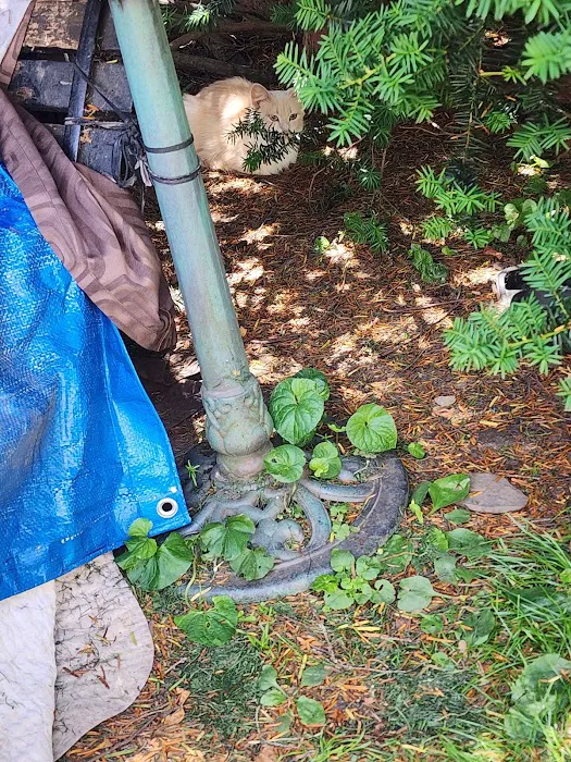 Valley Stream Mobile Home Park Picture 7