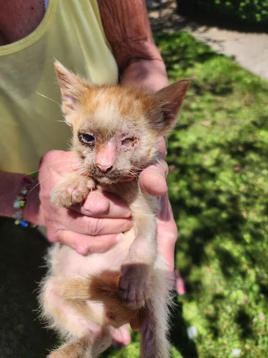 Valley Stream Mobile Home Park Picture 6