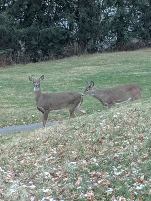 Lantern Hill Mobile Home Park Picture 3