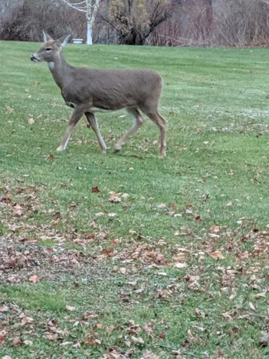 Lantern Hill Mobile Home Park Picture 4