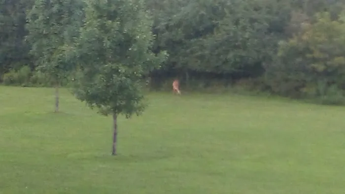 Sherburne Mobile Park Picture 1