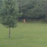 Sherburne Mobile Park