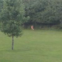 Sherburne Mobile Park ico