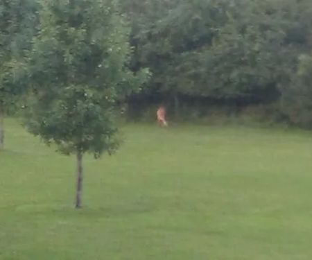 Sherburne Mobile Park