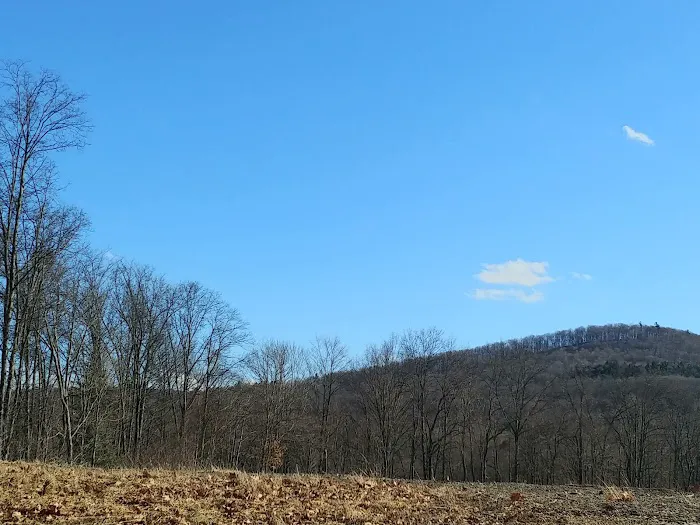 Mountainview Mobile Home Park Picture 9