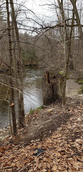 Whispering Pines Community Picture 1