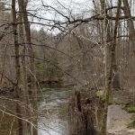 Whispering Pines Community