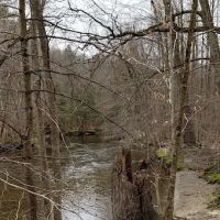 Whispering Pines Community ico