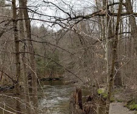 Whispering Pines Community