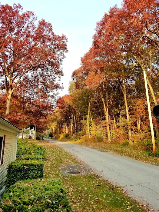 Blue Sky Homes LLC Picture 5