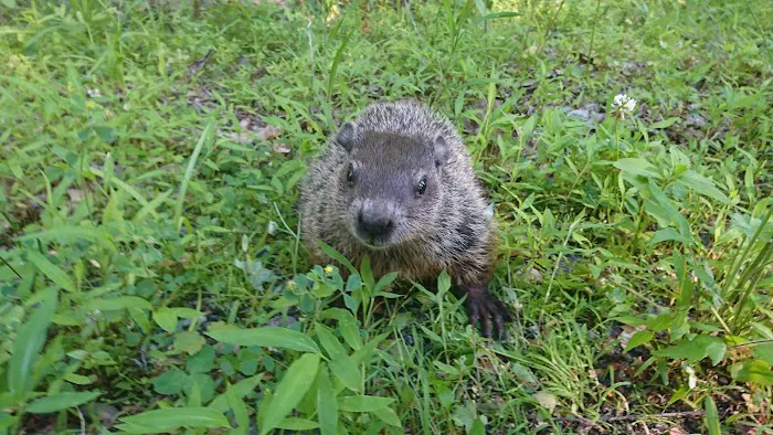 Blue Sky Homes LLC Picture 4