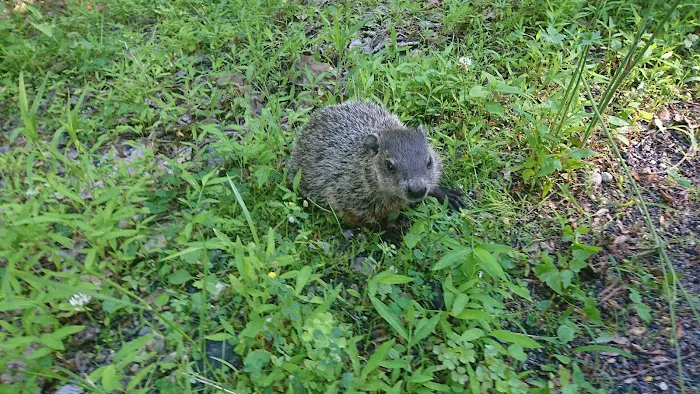 Blue Sky Homes LLC Picture 6