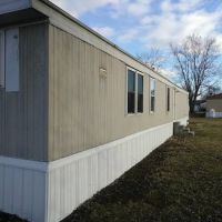 Blue Springs Village ico