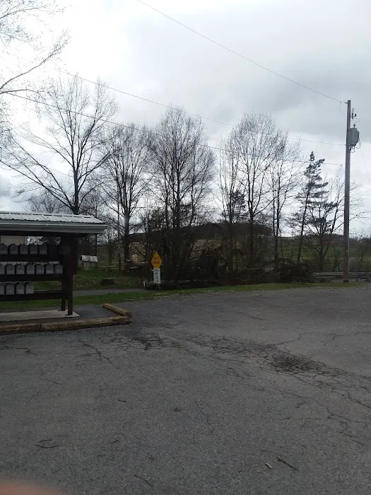 Blue Springs Village Picture 3