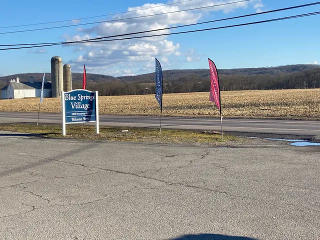 Blue Springs Village Picture 4