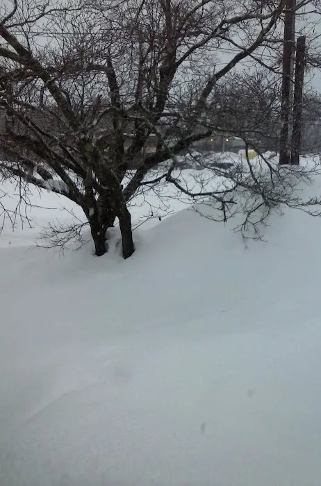 South shore mobile home park Picture 3