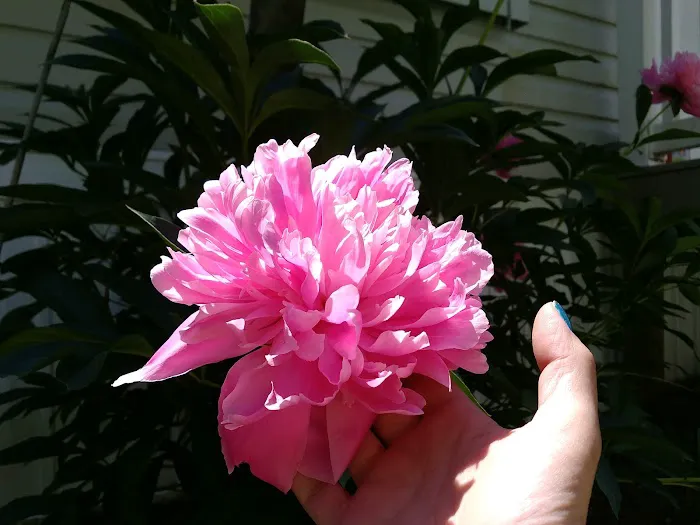 Caincrest Mobile Home Park Picture 1