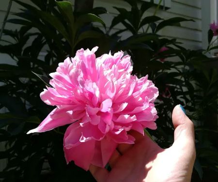 Caincrest Mobile Home Park