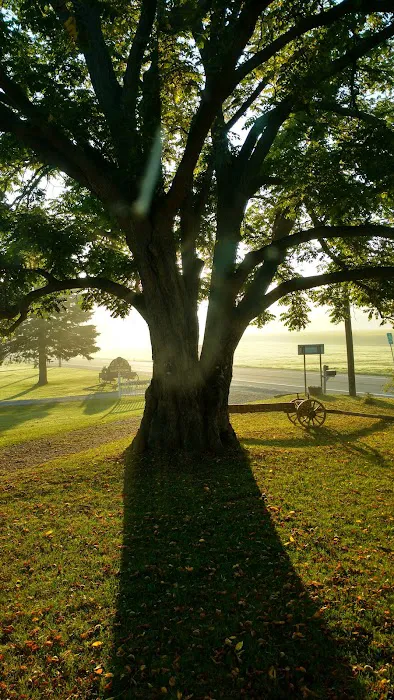 Butternut Hill RV Camping Picture 3