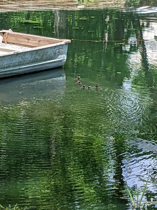 Rock Ledge Campground and RV Park Picture 3