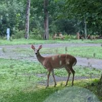 Rock Ledge Campground and RV Park ico