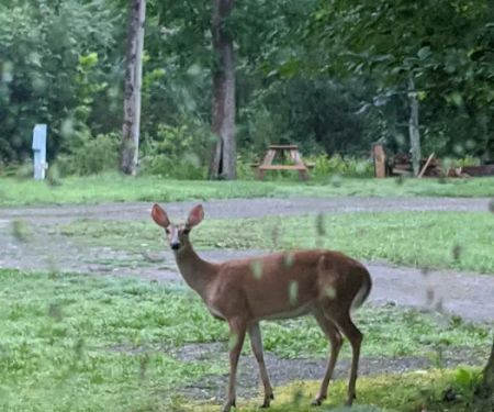 Rock Ledge Campground and RV Park