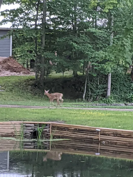 Rock Ledge Campground and RV Park Picture 4