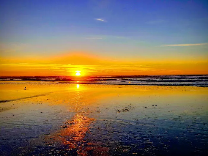 Sawmill Village Picture 3