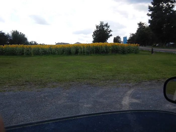 Rankin Mobile Home Park Picture 4