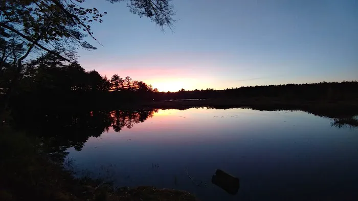 Pineland Park Picture 1