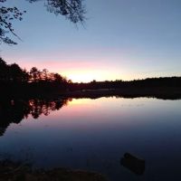 Pineland Park ico