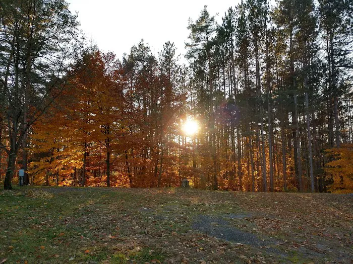 Conifer Mobile Village Picture 1