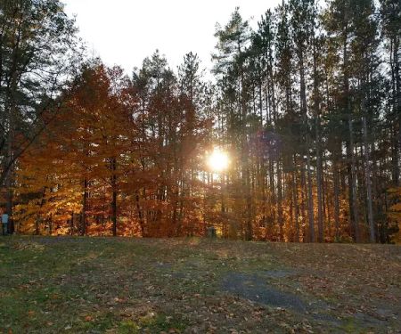 Conifer Mobile Village