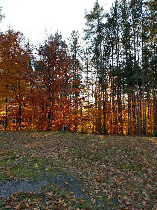 Conifer Mobile Village Picture 3