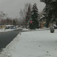 Northland Park Inc. ico