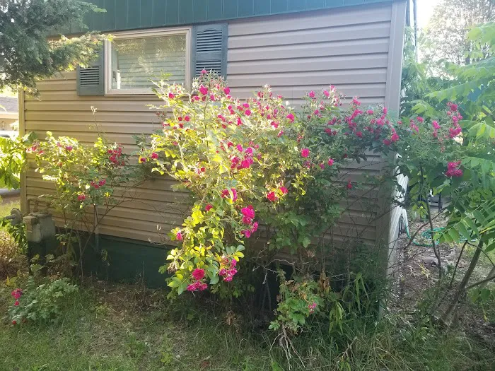 Northland Park Inc. Picture 6