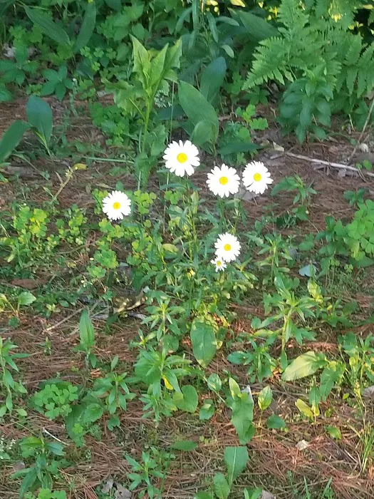 Northland Park Inc. Picture 8