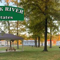 Black River Estates ico