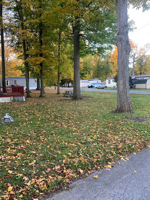 Black River Estates Picture 10